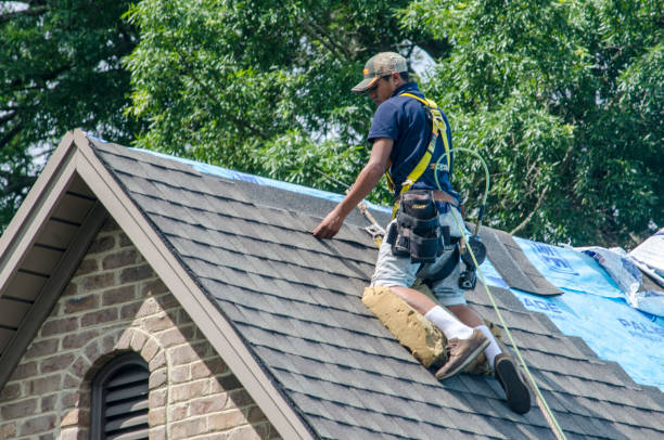 Quick and Trustworthy Emergency Roof Repair Services in Winthrop, MN